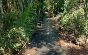15.02.2022 · três pessoas morrem após tiroteio em bom jesus do sul vítimas ainda não foram identificas mas motivação seria disputa de terras polícia publicado 26 minutos atrás. Rbrcaikjdc H M