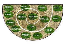 Spiral Herb Garden Plans Bee Has Resulted Inthe Creation Of A New Improved Herb Spiral Herb Spiral Permaculture Gardening Herbs