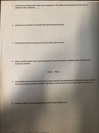 We've got to make sure it'll try to throw in any real detail though. Solved Name Section Date Worksheet The Torso Region T Chegg Com