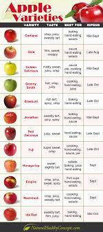Reddit Cooking Apple Variety Guide Cheat Sheet Cooking Food Hacks Food Info