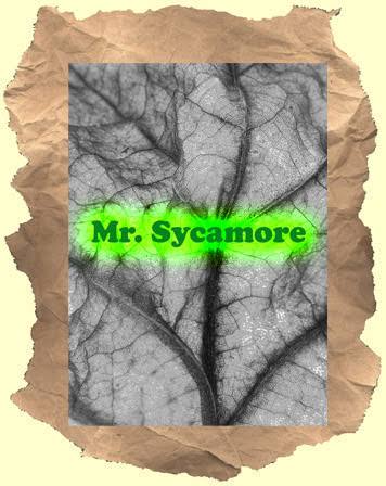 Mr. Sycamore (1975) | Scopophilia