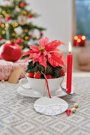 Deko Mit Weihnachtssternen Leicht Gemacht Diy Upcycling