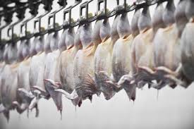 For meat to be considered halal it must meet certain criteria. Briefing Middle East The Halal Food Challenge In The Middle East Food Industry Management Briefing Just Food