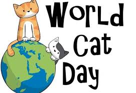 8 to celebrate the world's favorite pet. International Cat Day August 08