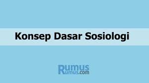 Kelompok 1 ahmad gozali 1910631190052 lisa rahayu 1910631190092 canny alfianita priscilla 1910631190144 rafii fadilah rahman 1910631190107 aulia nur azizah 1910631190067 wildan wildana. Konsep Dasar Sosiologi Pengertian Contoh Penjelasannya