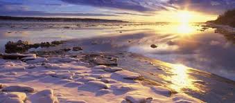 Printre cei amintiţi de călăraşu se numără şi dinu negreanu, care a filmat „viaţa învinge la praga. Partea Lumii Unde RÄƒsare Soarele Unde RÄƒsare Soarele È™i De Ce