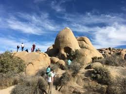 Quad City Traveler Joshua Tree National Park