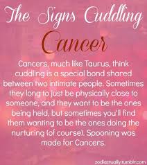 Cancer is a cardinal sign, while scorpio is a fixed sign. Pin On Cancer