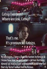 Get In Loser We Re Going To The Capitol Photo Hunger Games Humor Hunger Games Problems Hunger Games Memes