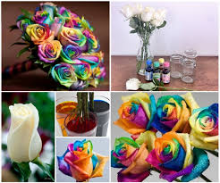 We did not find results for: Beautiful Diy Red Paper Roses