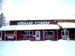 We did not find results for: Herman S Flowers Inc Great Falls Mt 59404 Ftd Florist Flower And Gift Delivery