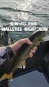 Dustin Monson | Where to find walleyes right now! And they are ...