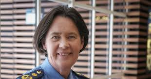 12 incidents of family violence involving police officers in past year