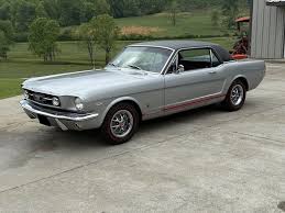 Image result for Silver Frost 1966 Mustang