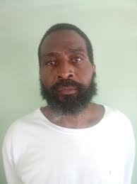 PRISON ESCAPEE CAPTURED BY HOPKINS POLICE Reports reaching our newsroom is  indicating that prison escapee, Elroy Henry was captured in or near Hopkins  Village earlier today. Henry will shortly be handed over