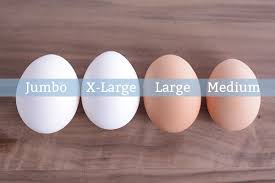 Chicken Egg Size Comparison Chart Bedowntowndaytona Com