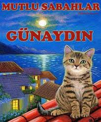 Mutlu Bir Gune Gunaydin Dilek Mektubu Guzel Kediler Resimler Hayvan Sozleri