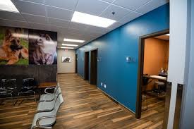 We have been practicing involved, coordinated medicine for over 30 years. Mission Animal Hospital 41 Photos 61 Reviews Veterinarians 10100 Viking Dr Eden Prairie Mn United States Phone Number