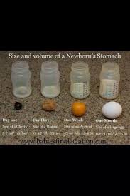 Size And Volume Of A Newborn Stomach Chart July 2014