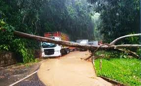 As pistas foram interditadas para pouso do helicóptero o que ocasionou congestionamento de aproximadamente 2km. Br 040 E Interditada Apos Queda De Arvore