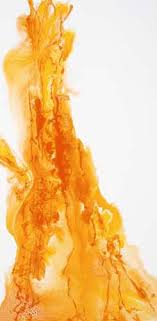 Cary Griffiths Archives