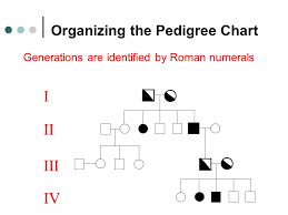 A Family History Of Genetics Ppt Download