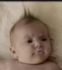 Gopher Spotlight: Stella Swenson