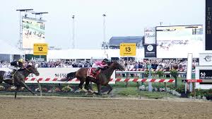 Preakness Stakes 2019 Payouts Win Place Show Results For