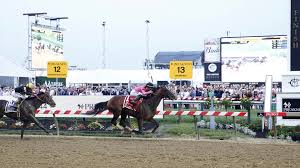 preakness stakes 2019 payouts win place show results for