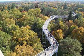 Der zauber des verwunschenen geländes der ehemaligen lungenheilanstalt in beelitz heilstätten ist legendär. Baumkronenpfad Beelitz Heilstatten Wikipedia