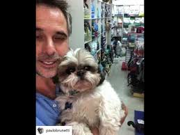 He is not dating anyone. Paulo Brunetti En Club De Perros Y Gatos Youtube