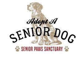 Maybe you would like to learn more about one of these? Senior Paws Sanctuary Sw Florida Senior Dog Rescue