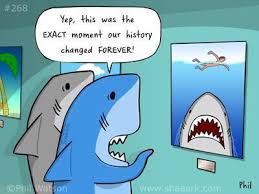 Shaaark Shark Jokes Sharks Funny Shark Meme