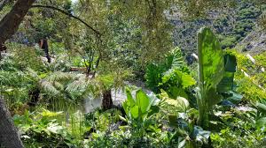 Jardin Exotique D Eze Promenade Botanique
