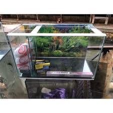 Aquarium satu ini bisa kamu jadikan pilihan sebagai penghias ruangan, dimana aquarium ini memiliki desain yang menarik dan unik. Harga Aquarium Set Terbaik Peliharaan Perawatan Hewan Hobi Koleksi April 2021 Shopee Indonesia