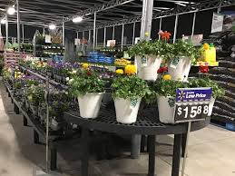 Trust coupons.com for electronic accessories savings. Walmart Seabrook The Garden Center Has All Of The Plants You Could Need In Your Garden At Prices Your Wallet Loves Gardencenter Budgetfriendly Facebook