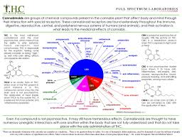 rick simpson oil autism cbd cannabis and autism an