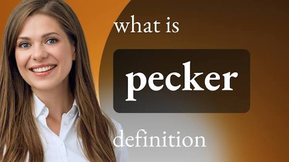 Pecker • what is PECKER definition