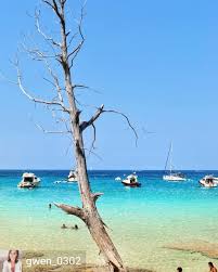 Epingle Sur Corse