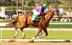 kentucky derby california chromes attempt to turn back