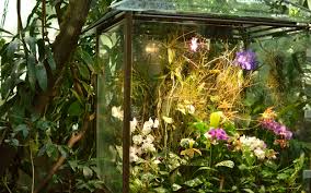 Über 84 ferienwohnungen & ferienhäuser ab € 59 pro nacht mit bewertungen für kurze & lange aufenthalte, darunter ferienwohnungen, ferienhäuser & mehr. Kurzurlaub Im Tropenhaus Botanischer Garten Erlangen Hummelstein