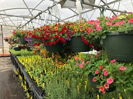 Fresh flowers and hand delivered right to your door in jackson and surrounding areas. Jackson Area Career Center Home Facebook