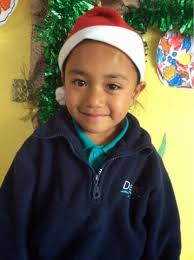 Room 5's Blog: December 2014