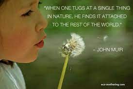 Quotes On The Environment Eco Mothering Environmental Quotes Environment Quotes Nature Quotes
