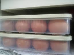 Info center harga telur indonesia 0822 3265 8851. Ww Random Photo Suria Amanda