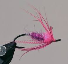 Formed in 1990 , tco fly shop is the largest, most complete fly fishing outfitter on the east coast. 14 Steelhead Flies Ideas In 2021 Steelhead Flies Steelhead Salmon Flies