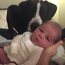 I also want to Congratulate Ade and Cappy