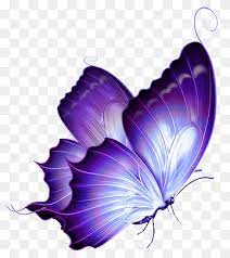 Looking for the best wallpapers? Monarch Butterfly Butterflies Pink Butterflies Illustration Purple Violet Color Png Pngwing