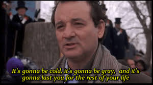 Groundhog day 2021 in the united states is on tuesday, february 2, a day were a groundhog predicts how much more winter is left. Mandatory Gifs Of The Week Groundhog Day Edition Mandatory