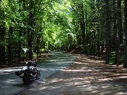 We did not find results for: Aspromonte National Park Photo